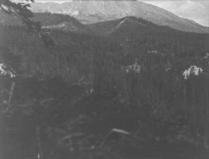 Wald : Blick auf bewaldete Berghänge