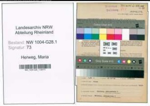 Entnazifizierung Maria Herweg , geb. 24.09.1894 (Postsekretaerin)