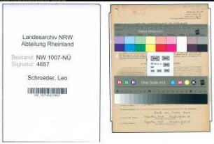 Entnazifizierung Leo Schroeder , geb. 21.12.1908 (Maler)