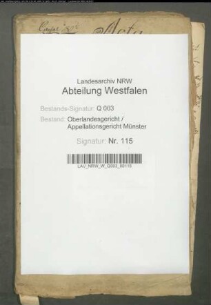 Kuratel des Fürsten