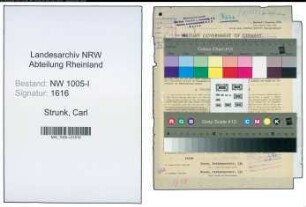 Entnazifizierung Carl Strunk , geb. 15.11.1900 (Kaufm. Angestellter)