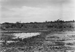 Landschaftsaufnahme : Blick über die Landschaft des Pantanals nördlich von Aquidauana.