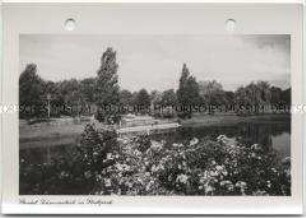 Stendal, Stadtpark, Schwanenteich