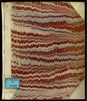 Floræ Altdorfinæ Deliciæ Hortenses locupletiores factæ. Sive Appendix Catalogi Horti Medici Altdorfini Plantarvm Novarvm accessione aucta