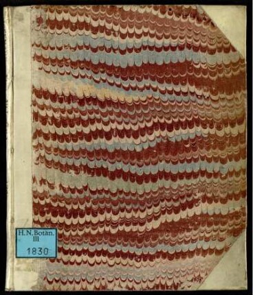 Floræ Altdorfinæ Deliciæ Hortenses locupletiores factæ. Sive Appendix Catalogi Horti Medici Altdorfini Plantarvm Novarvm accessione aucta