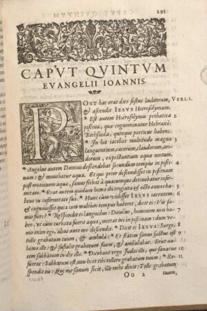 Capvt Qvintvm Evangelii Ioannis.