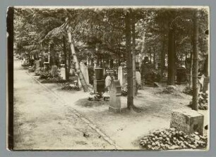 Alter Waldfriedhof in Weimar