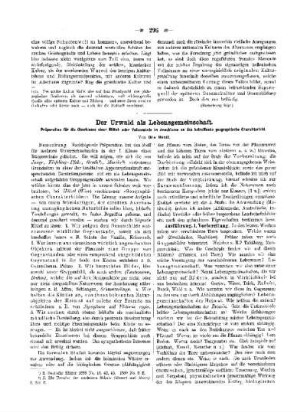 Der Urwald als Lebensgemeinschaft
