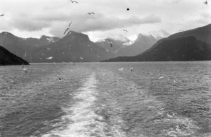 Blick auf den Fjord