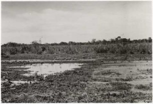 Typisches Landschaftsbild des Pantanal : 12,1 km nördlich von Aquidauana