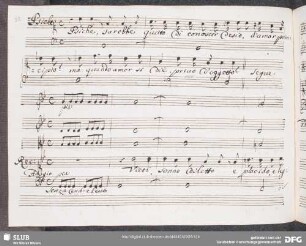 Recitativo: Psiche sarebbe questo di conoscer desio