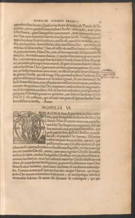 Homilia VI.