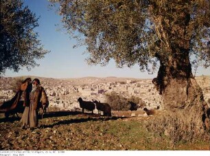 Israel: Hebron