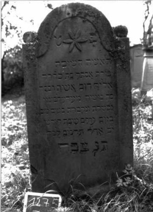 Grabstein 1275 (Index: 100104513) Material: Sandstein Zustand: leicht angewittert Maße HxBxT: 143x70x11 cm Beschreibung: Stele mit eingezogenem Rundbogenabschluss, auf den Einzügen Kugelaufsätze, im Bogenfeld Blüte, Schriftfeld eingetieft mit Konvexbogenabschluss, Buchstaben wurden mit schwarzer Farbe nachgezogen (verlaufen und abgewittert) Symbolik: Blüte: Grabstein 1275