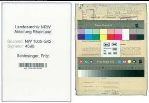 Entnazifizierung Fritz Schlesinger , geb. 06.01.1901 (Makler)