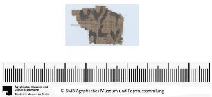 Aramäischer Papyrus, aramäische Version der Behistun‚ Inschrift Dareios’ I., Fragment