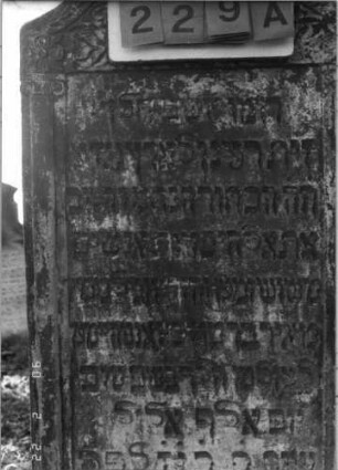Grabstein 229 (Index: 100116018) Material: Sandstein Zustand: verwittert Maße HxBxT: 146x71x18 cm Beschreibung: Stele mit konkav eingezogenem Segmentbogenabschluß, eingetieftes Schriftfeld Symbolik: Ranken: Grabstein 229A