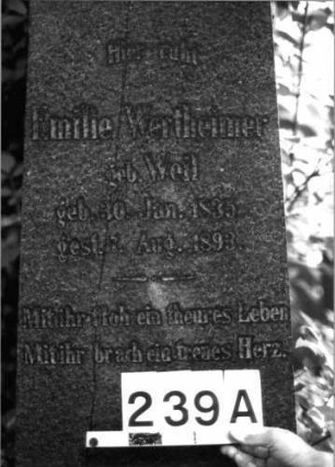 Grabstein 239 (Index: 100085057) Maße HxBxT: 197x70x45 cm Beschreibung: Obelisk, getreppter Sockel: Grabstein 239A