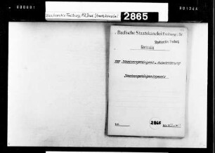 Entwurf eines Landesgesetzes über die badische Staatsangehörigkeit, Beibehaltung der deutschen Staatsangehörigkeit, Vordrucke in Staatsangehörigkeitssachen, Gültigkeitsdauer von Staatsangehörigkeitsurkunden