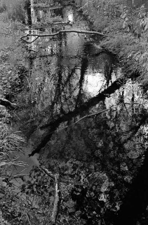 Berlin-Pankow : In Berlin-Pankow, Volkspark Blankenfelde