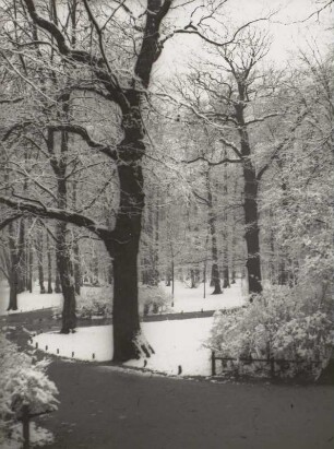 Albertpark