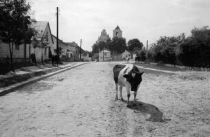 In Janowiec bei Kazimierz Dolny