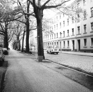 Cottbus-Mitte. Wernerstraße. Allee am Schillerplatz und östliche Wohnbebauung nach Norden