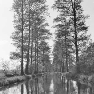 Hochwald in Leipe. : Wysokolěs w Lipjem.