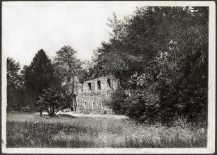 Klosterruine Nimbschen