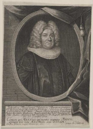 Bildnis des Johannes Theodorus Heinson