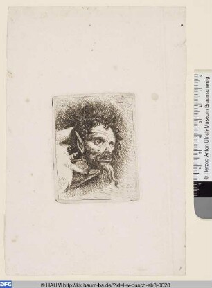 Kopfstudie, Satyr