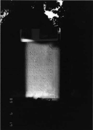 Grabstein 63 (Index: 99798202) Material: Sandstein, rot Zustand: stark verwittert Maße HxBxT: 87x56x13 cm Beschreibung: Stele, geschweifter Abschluß Symbolik: Palmblatt: Grabstein 63B (Detailaufnahme 1)