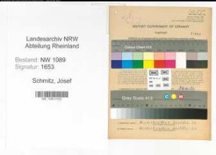 Entnazifizierung Josef Schmitz , geb. 05.10.1904 (Unterbrandmeister)