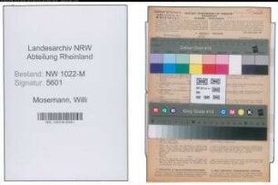Entnazifizierung Willi Mosemann , geb. 02.02.1915 (Molkereifachmann)