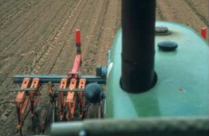 Fotografie: Pflegegerät, Zuckerrübe, Hackmaschine, Frontanbau