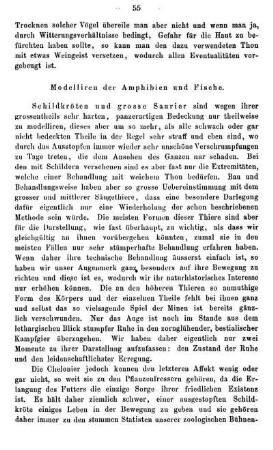 Modelliren der Amphibien und Fische.