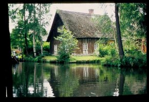 Spreewald 26.7.84.