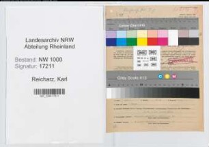 Entnazifizierung Karl Reicharz, geb. 01.04.1884 (Postsekretaer)