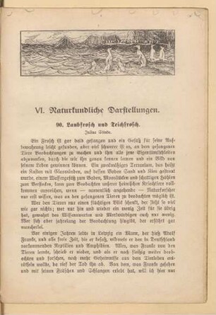 VI. Naturkundliche Darstellungen