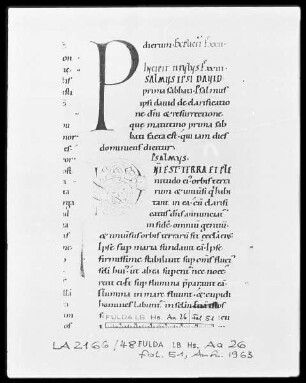 Augustinus, Enarrationes in Psalmos 1-50 — Initiale D, Folio 51 recto