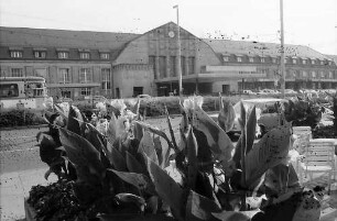 Karlsruhe: Hauptbahnhof