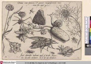 [Insekten, Pflanzen und Früchte mit Schmetterling und Schnecke im Zentrum]