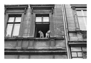 Im Scheunenviertel, Berlin-Mitte