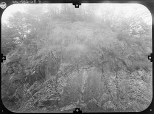 Felsen : Felsen