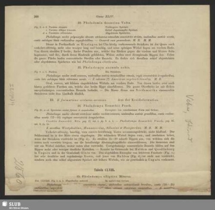 Nr. 98-128. Vehse, Carl Eduard