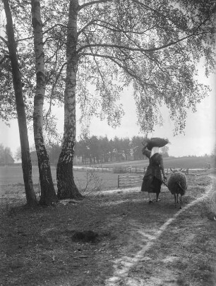 Frau mit Schaf am Waldrand in der Lausitz
