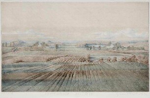 Landschaft bei Tarp