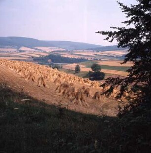 Vogelsberg, Ausblick vom Vogelsberg : Im Mittelgebirge Vogelsberg. Landschaft Oberwegfurt und Queck im Fuldatal