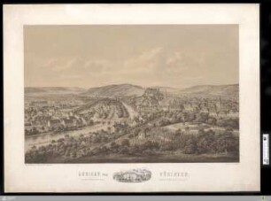 Ansicht von Tübingen