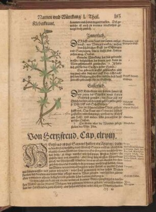 Von Hertzfreud, Cap. CLXVIII